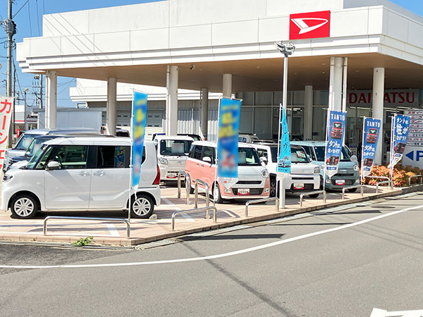洗車の様子
